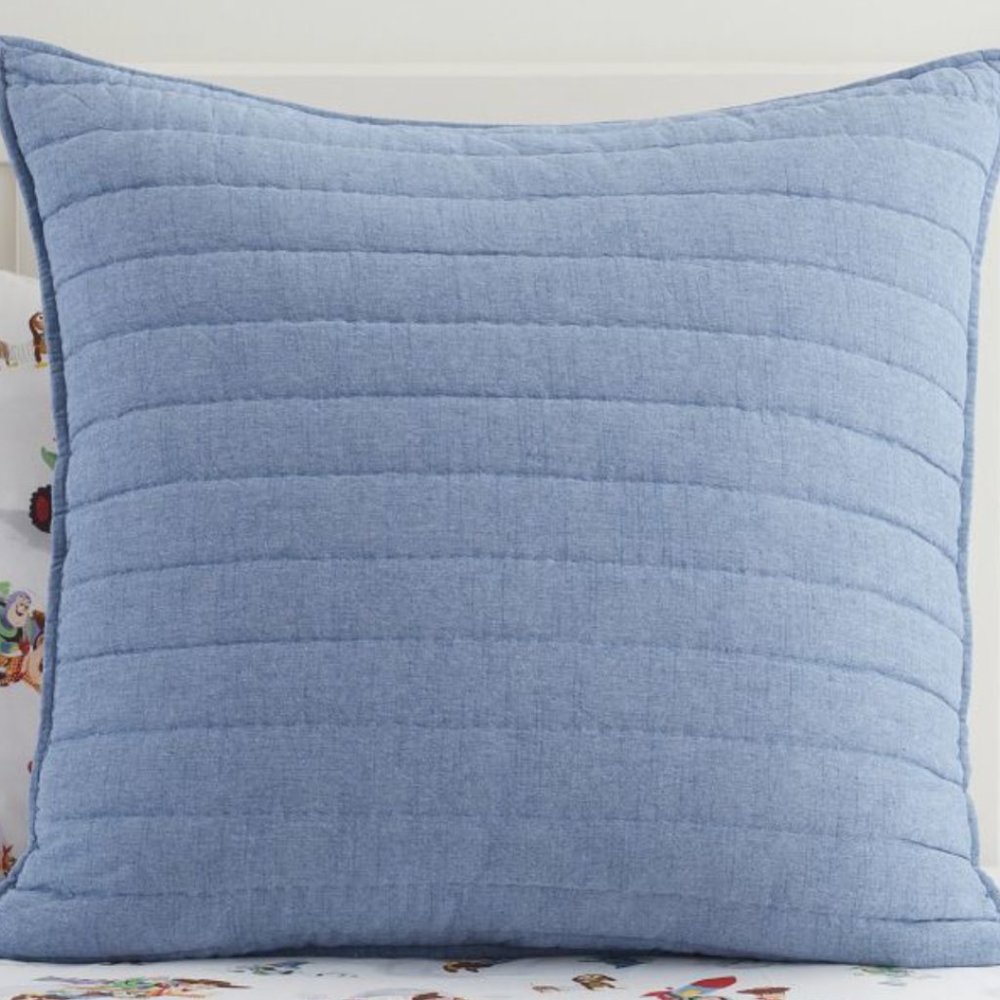 Pottery Barn Kids Branson Quilted Sham European Square Set of 2